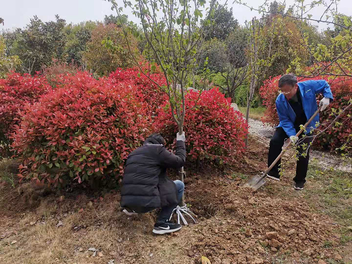 鍥剧墖2.png