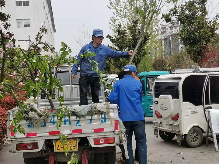 鍥剧墖1.png