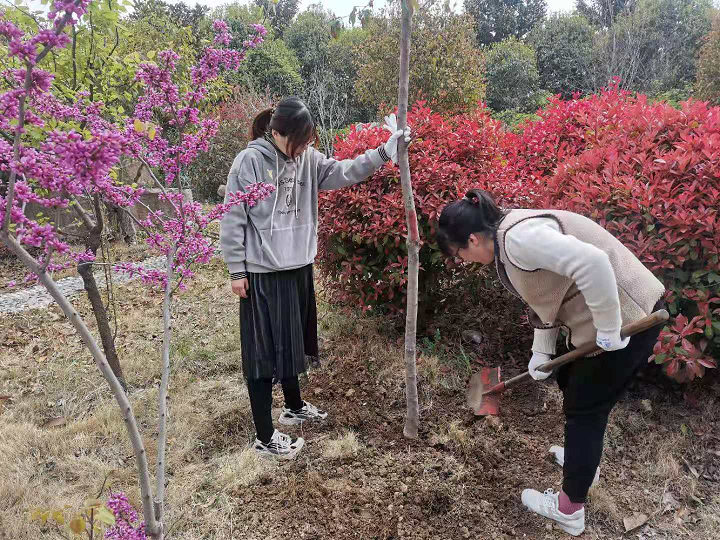 鍥剧墖3.png